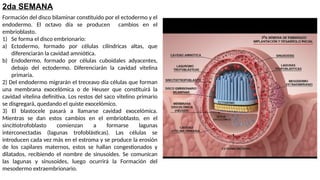 Dat Ectodermo CRED.pptx fisiologia ........ ,.......... | PPTX