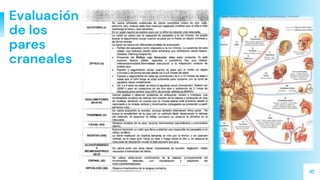 10
Evaluación
de los
pares
craneales
 