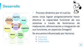 Desarrollo
▫ Proceso dinámico por el cual los
seres vivos logran progresivamente hacer
efectiva la capacidad funcional de sus
sistemas a través de fenómenos de
maduración, diferenciación e integración de
sus funciones, en aspectos (imagen)
Se encuentra influenciado por factores:
20
 Genéticos
 Culturales
 Ambientales
 