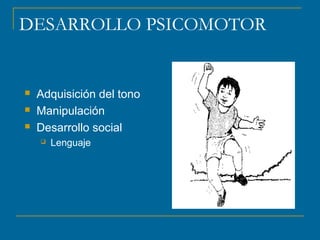 DESARROLLO PSICOMOTOR 
 Adquisición del tono 
 Manipulación 
 Desarrollo social 
 Lenguaje 
 