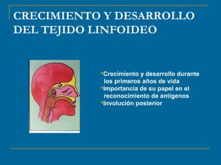 CRECIMIENTO Y DESARROLLO 
DEL TEJIDO LINFOIDEO 
Crecimiento y desarrollo durante 
los primeros años de vida 
Importancia de su papel en el 
reconocimiento de antígenos 
Involución posterior 
 