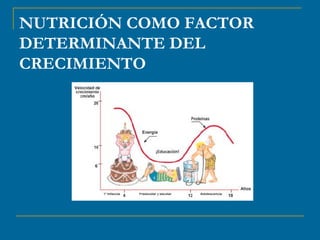 NUTRICIÓN COMO FACTOR 
DETERMINANTE DEL 
CRECIMIENTO 
 