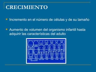 CRECIMIENTO 
 Incremento en el número de células y de su tamaño 
 Aumento de volumen del organismo infantil hasta 
adquirir las características del adulto 
 