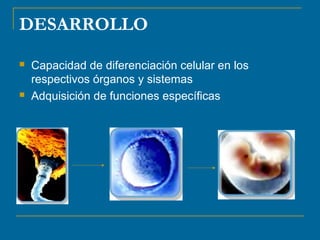 DESARROLLO 
 Capacidad de diferenciación celular en los 
respectivos órganos y sistemas 
 Adquisición de funciones específicas 
 