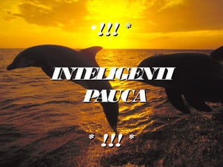 •!!! *
INTELIGENTI
P
AUCA
* !!! *

 