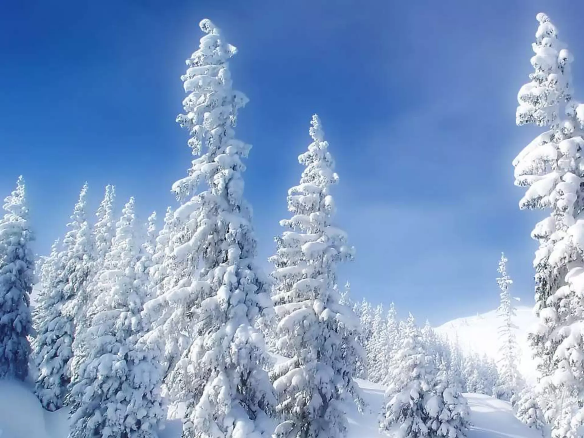 Credibility, validity, reliability and transferability | PPTX