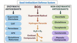 Reactive Oxygen Species (ROS) Production and Antioxidant Defense in ...