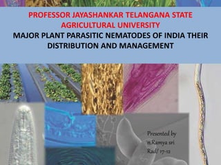 PROFESSOR JAYASHANKAR TELANGANA STATE
AGRICULTURAL UNIVERSITY
MAJOR PLANT PARASITIC NEMATODES OF INDIA THEIR
DISTRIBUTION AND MANAGEMENT
Presented by
n.Ramya sri
Rad/ 17-12
 