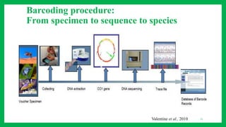 Barcoding procedure:
From specimen to sequence to species
11Valentine et al., 2010
 
