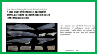25Espiona et al., 2015
The forensic use of DNA barcodes for
identification of endangered species and
commercially useful plants and animals is
being expanded by local, state, and national
governments.
 
