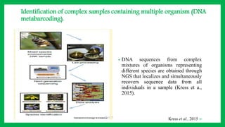 Identification of complex samples containing multiple organism (DNA
metabarcoding).
• DNA sequences from complex
mixtures of organisms representing
different species are obtained through
NGS that localizes and simultaneously
recovers sequence data from all
individuals in a sample (Kress et a.,
2015).
30Kress et al., 2015
 