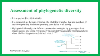 Assessment of phylogenetic diversity
• It is a species diversity indicator.
• It is measured as the sum of the lengths of all the branches that are members of
the corresponding minimum spanning path (Faith et al., 1992).
• Phylogenetic diversity can inform conservation strategies by ignoring tedious
species counts and using evolutionary lineages (phylogenies) to boost predictions
about biodiversity patterns (Mitchell et al., 2008).
32
Krishnamurthi et al.,2012
 
