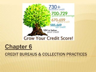 Chapter 6
CREDIT BUREAUS & COLLECTION PRACTICES
 