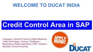 WELCOME TO DUCAT INDIA
Credit Control Area in SAP
Language | Industrial Training | Digital Marketing
| Web Technology | Testing+ | Database |
Networking | Mobile Application | ERP | Graphic |
Big Data | Cloud Computing
 