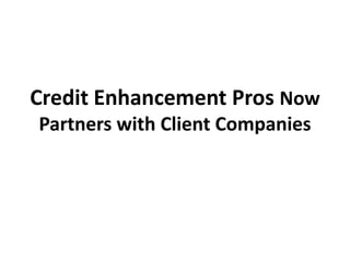 Credit Enhancement Pros Now
Partners with Client Companies

 