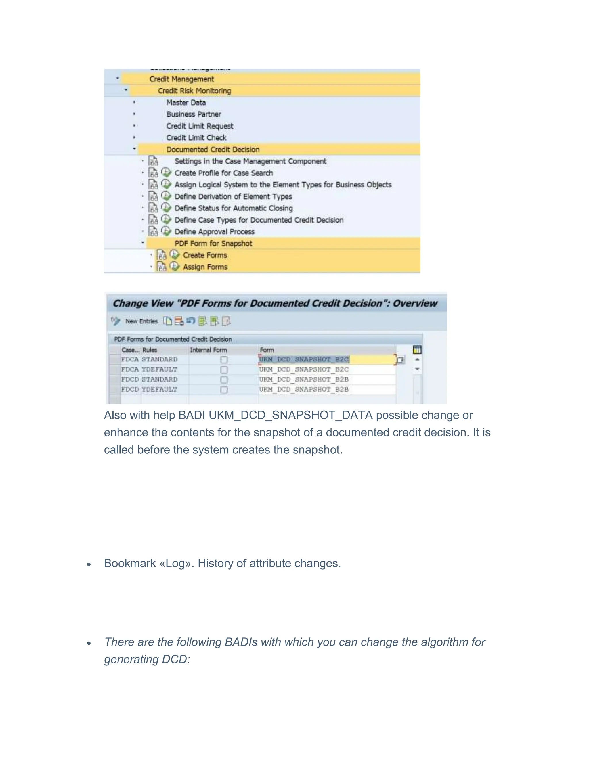 Credit management (Documented Credit Decision.docx