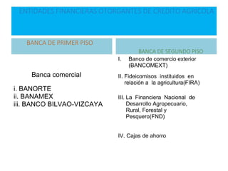 ENTIDADES FINANCIERAS OTORGANTES DE CREDITO AGRICOLA
BANCA DE PRIMER PISO
BANCA DE SEGUNDO PISO
Banca comercial
i. BANORTE
ii. BANAMEX
iii. BANCO BILVAO-VIZCAYA
I. Banco de comercio exterior
(BANCOMEXT)
II. Fideicomisos instituidos en
relación a la agricultura(FIRA)
III. La Financiera Nacional de
Desarrollo Agropecuario,
Rural, Forestal y
Pesquero(FND)
IV. Cajas de ahorro
 
