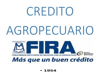 CREDITO
AGROPECUARIO
 