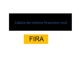 Cabeza del sistema financiero rural
FIRA
 
