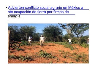 • Advierten conflicto social agrario en México a
nte ocupación de tierra por firmas de
energía.
 