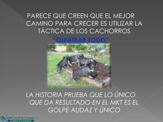 PARECE QUE CREEN QUE EL MEJOR
CAMINO PARA CRECER ES UTILIZAR LA
TÁCTICA DE LOS CACHORROS
“OLFATEAR TODO”
LA HISTORIA PRUEBA QUE LO ÚNICO
QUE DA RESULTADO EN EL MKT ES EL
GOLPE AUDAZ Y ÚNICO
 