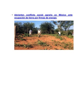 • Advierten conflicto social agrario en México ante
ocupación de tierra por firmas de energía.
 