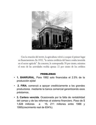 PROBLEMAS
• 1. BANRURAL, Para 1992 solo financiaba el 2.5% de la
producción ejidal
• 2. FIRA, comenzó a apoyar crediticiamente a los grandes
productores mediante la banca comercial garantizando esos
préstamos.
• 3. Cartera vencida. Ocasionada por la falta de rentabilidad
del campo y de las reformas al sistema financiero. Paso de $
1,628 millones a 15, 211 millones entre 1988 y
1995(crecimiento real de 834%).
 