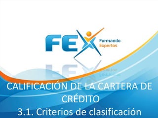 CALIFICACIÓN DE LA CARTERA DE
CRÉDITO
3.1. Criterios de clasificación
 