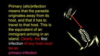 Primary (allo)infection
means that the parasite
originates away from its
host, and that it has to
travel to that host. This is
the equivalent of an
immigrant arriving in an
island. Clearly, the first
infection of any host must
be an
primary-infection
 