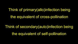 Think of primary(allo)infection being
the equivalent of cross-pollination
Think of secondary(auto)infection being
the equivalent of self-pollination
 