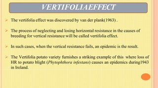 VERTIFOLIAEFFECT
 The vertifolia effect was discovered by van der plank(1963) .
 The process of neglecting and losing horizontal resistance in the causes of
breeding for vertical resistance will be called vertifolia effect.
 In such cases, when the vertical resistance fails, an epidemic is the result.
 The Vertifolia potato variety furnishes a striking example of this where loss of
HR to potato blight (Phytophthora infestans) causes an epidemics during1943
in Ireland.
 