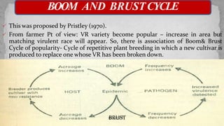  This was proposed by Pristley (1970).
 From farmer Pt of view: VR variety become popular – increase in area but
matching virulent race will appear. So, there is association of Boom& Brust
Cycle of popularity- Cycle of repetitive plant breeding in which a new cultivar is
produced to replace one whose VR has been broken down.
BOOM AND BRUSTCYCLE
BRUST
 