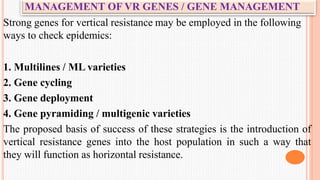 MANAGEMENT OF VR GENES / GENE MANAGEMENT
Strong genes for vertical resistance may be employed in the following
ways to check epidemics:
1. Multilines / ML varieties
2. Gene cycling
3. Gene deployment
4. Gene pyramiding / multigenic varieties
The proposed basis of success of these strategies is the introduction of
vertical resistance genes into the host population in such a way that
they will function as horizontal resistance.
 