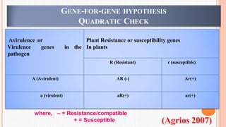 GENE-FOR-GENE HYPOTHESIS
QUADRATIC CHECK
(Agrios 2007)
Avirulence or
Virulence genes
pathogen
Plant Resistance or susceptibility genes
in the In plants
R (Resistant) r (susceptible)
A (Avirulent) AR (-) Ar(+)
a (virulent) aR(+) ar(+)
where, – = Resistance/compatible
+ = Susceptible
 
