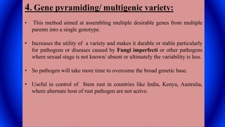 4. Gene pyramiding/ multigenic variety:
• This method aimed at assembling multiple desirable genes from multiple
parents into a single genotype.
• Increases the utility of a variety and makes it durable or stable particularly
for pathogens or diseases caused by Fungi imperfecti or other pathogens
where sexual stage is not known/ absent or ultimately the variability is less.
• So pathogen will take more time to overcome the broad genetic base.
• Useful in control of Stem rust in countries like India, Kenya, Australia,
where alternate host of rust pathogen are not active.
 