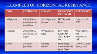 EXAMPLES OF HORIZONTAL RESISTANCE
CROP PATHOGEN DISEASE RESISTANCE
CULTIVAR
REFERENCE
Bell pepper Phytophthora
nicotianae var
nicotianae
Leaf blight and
fruit rot
HC 201 and
Feroz
Gupta, et. al.,
2007.
Red gram Phytophthora
drechsleri f.sp.
cajani
Phytophthora
blight
ICP 7065,
KPBR 80-1
AND KPBR
80-2
Agrawal,S.C.
and
Khare,M.N,
1987
Wheat Erysiphe
graminis
Powdery
mildew
Dominique,
Carre and 0541
japan 2003
Dobrev,D. and
Tufa,F.1995.
 