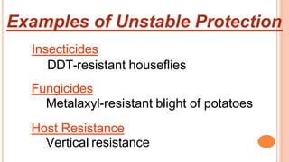 Examples of Unstable Protection
Insecticides
DDT-resistant houseflies
Fungicides
Metalaxyl-resistant blight of potatoes
Host Resistance
Vertical resistance
 