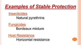 Examples of Stable Protection
Insecticides
Natural pyrethrins
Fungicides
Bordeaux mixture
Host Resistance
Horizontal resistance
 