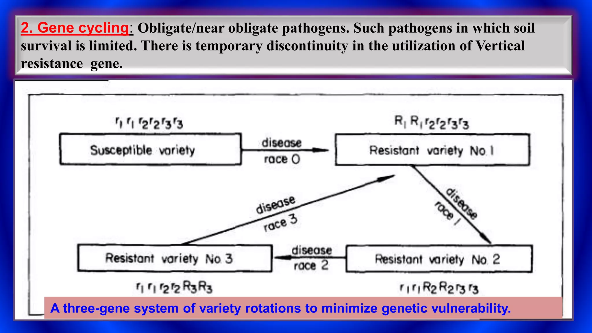 2. Gene cycling: Obligate/near obligate pathogens. Such pathogens in which soil
survival is limited. There is temporary discontinuity in the utilization of Vertical
resistance gene.
A three-gene system of variety rotations to minimize genetic vulnerability.
 