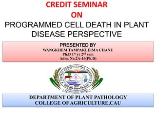 CREDIT SEMINAR
ON
PROGRAMMED CELL DEATH IN PLANT
DISEASE PERSPECTIVE
PRESENTED BY
WANGKHEM TAMPAKLEIMA CHANU
Ph.D 1st yr 2nd sem
Adm. No.2A-16(Ph.D)
DEPARTMENT OF PLANT PATHOLOGY
COLLEGE OFAGRICULTURE,CAU
 