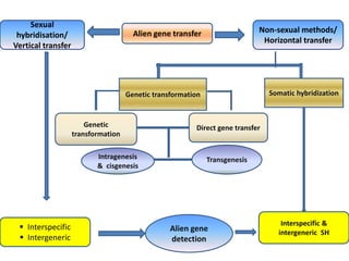Alien introgression in Crop Improvement-New insights | PPTX