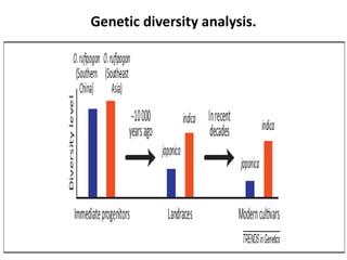 Alien introgression in Crop Improvement-New insights | PPTX
