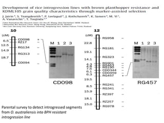Alien introgression in Crop Improvement-New insights | PPTX