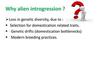 Alien introgression in Crop Improvement-New insights | PPTX