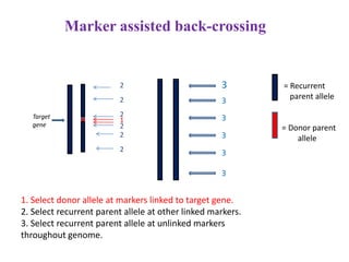 Alien introgression in Crop Improvement-New insights | PPTX