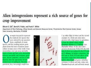 Alien introgression in Crop Improvement-New insights | PPTX