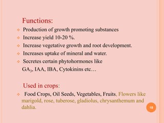 Functions:
 Production of growth promoting substances
 Increase yield 10-20 %.
 Increase vegetative growth and root development.
 Increases uptake of mineral and water.
 Secretes certain phytohormones like
GA3, IAA, IBA, Cytokinins etc…
Used in crops:
 Food Crops, Oil Seeds, Vegetables, Fruits, Flowers like
marigold, rose, tuberose, gladiolus, chrysanthemum and
dahlia. 18
 