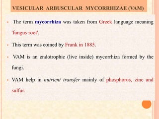 VESICULAR ARBUSCULAR MYCORRHIZAE (VAM)
 The term mycorrhiza was taken from Greek language meaning
'fungus root'.
 This term was coined by Frank in 1885.
 VAM is an endotrophic (live inside) mycorrhiza formed by the
fungi.
 VAM help in nutrient transfer mainly of phosphorus, zinc and
sulfur.
22
 