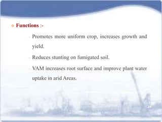  Functions :-
• Promotes more uniform crop, increases growth and
yield.
• Reduces stunting on fumigated soil.
• VAM increases root surface and improve plant water
uptake in arid Areas.
24
 