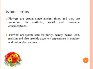 INTRODUCTION
 Flowers are grown since ancient times and they are
important for aesthetic, social and economic
considerations.
 Flowers are symbolized for purity, beauty, peace, love,
passion and also provide excellent appearance in outdoor
and indoor decorations.
4
 